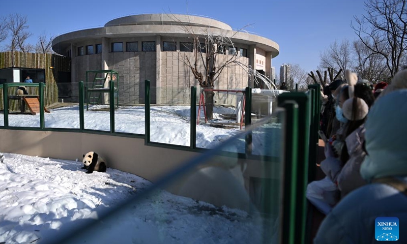 The newly renovated giant panda house is pictured at Tianjin Zoo in north China's Tianjin, Jan. 21, 2024. The giant panda house in the zoo reopened after three months of renovation. (Xinhua/Li Ran)