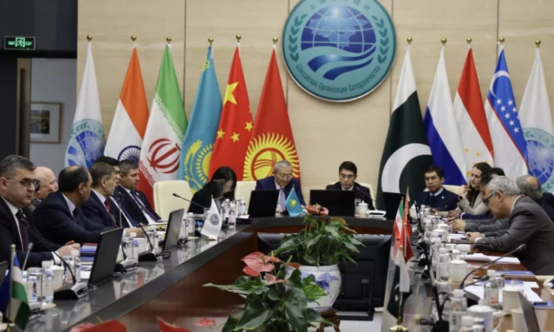 Experts are working on the drafts of SCO development bank: Pakistani ...