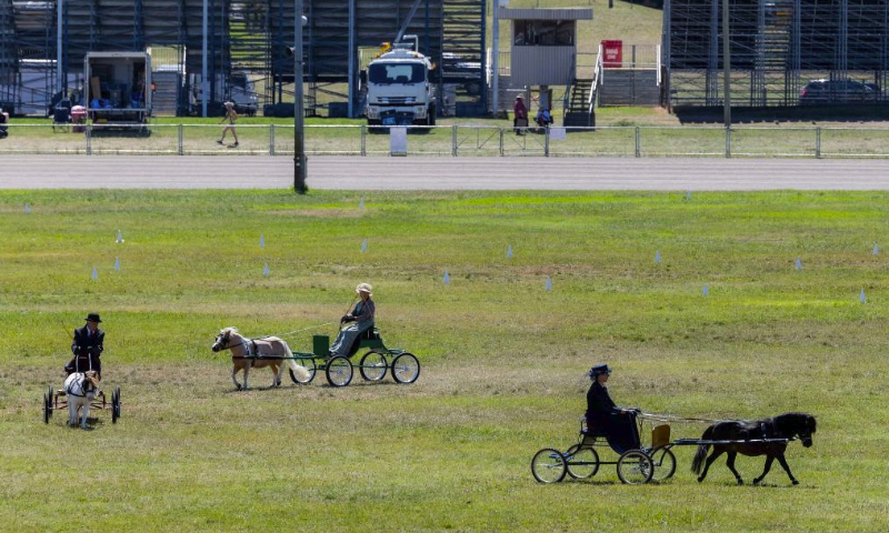 This photo taken on Feb. 25, 2024 shows the carriage show at the 2024 Royal Canberra Show in Canberra, Australia. The Royal Canberra Show, staged annually by the Royal National Capital Agricultural Society, kicked off on Friday and concluded on Sunday this year. While having agriculture at its core, the show has broadened over the years to reflect more entertainment, educational features and exhibitions. (Photo by Chu Chen/Xinhua)