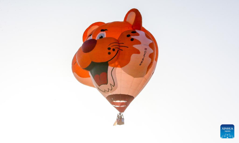 A tiger-shaped hot air balloon floats in the sky during the 24th Philippine International Hot Air Balloon Fiesta in Tarlac Province, the Philippines, on Feb. 16, 2024. The 24th Philippine International Hot Air Balloon Fiesta will be held here from Feb. 16 to 18 to showcase hot air balloons and hold many aerial activities. (Xinhua/Rouelle Umali)