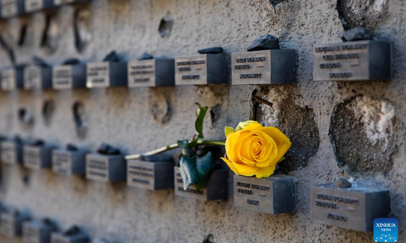 This photo taken on Jan. 27, 2024 shows a flower on the wall of an Old Jewish Cemetery on Battonnstrasse in Frankfurt, Germany. (Xinhua/Zhang Fan)