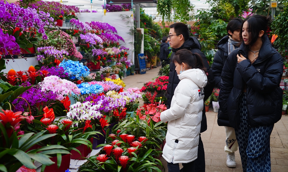 Visitors explore a major flower market in the Fengtai district, Beijing, on January 29, 2024. Holiday flowers are in full bloom as Chinese New Year approaches and the peak season for sales arrives. The number of visitors has surged since January, the market said.
Photo: VCG