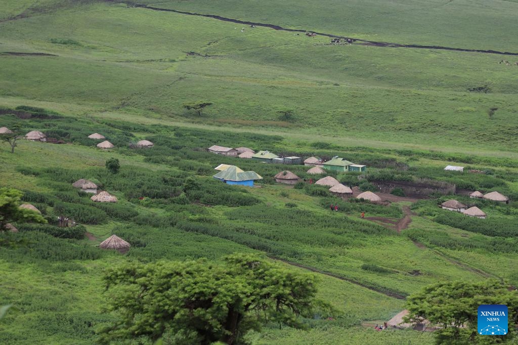 This photo taken on Jan. 29, 2024 shows residences of the Maasai tribe in Ngorongoro Conservation Area, Arusha, Tanzania.(Photo: Xinhua)