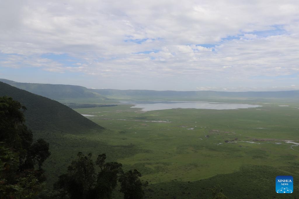 This photo taken on Jan. 29, 2024 shows a scenery of Ngorongoro Conservation Area, Arusha, Tanzania(Photo: Xinhua)