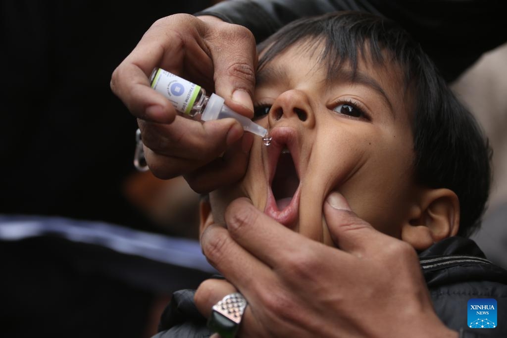 A child receives a dose of anti-polio vaccine in Kabul, Afghanistan, Jan. 30, 2024. More than 7.5 million children under five would receive anti-polio vaccines in 21 out of Afghanistan's 34 provinces, a statement of the country's Ministry of Public Health said.(Photo: Xinhua)