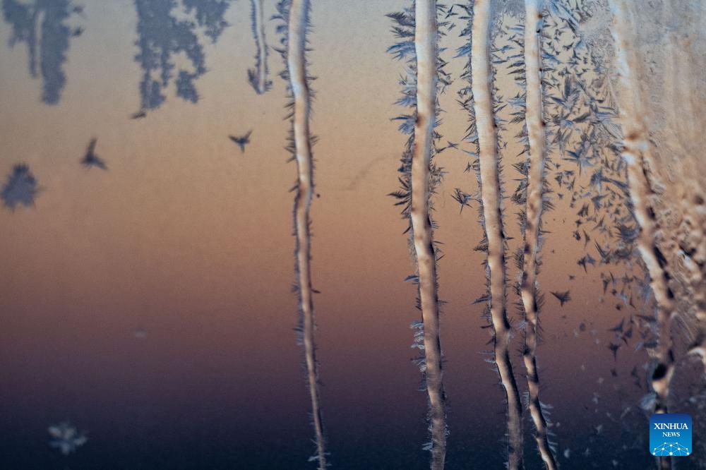 A window with frost pattern is pictured in Heihe, northeast China's Heilongjiang Province, Jan. 31, 2024.(Photo: Xinhua)