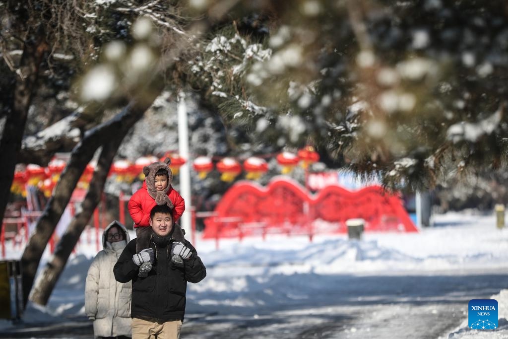 People visit the Beiling Park after a snowfall in Shenyang, northeast China's Liaoning Province, Jan. 31, 2024.(Photo: Xinhua)