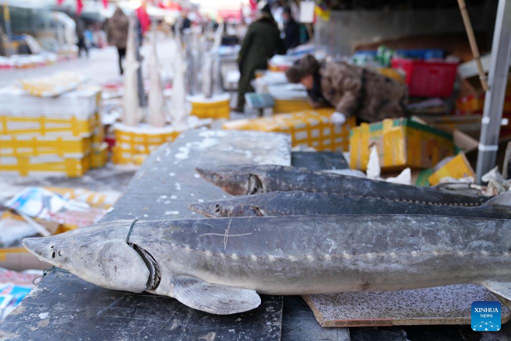 Vendors sell frozen fish at Dongji fish market in Fuyuan, northeast China's Heilongjiang Province, Jan. 31, 2024. As the Spring Festival approaches, Dongji fish market in Fuyuan has entered its peak sales season. With a history of more than 100 years, the market is a major trading hub for freshwater fish products in China.(Photo: Xinhua)