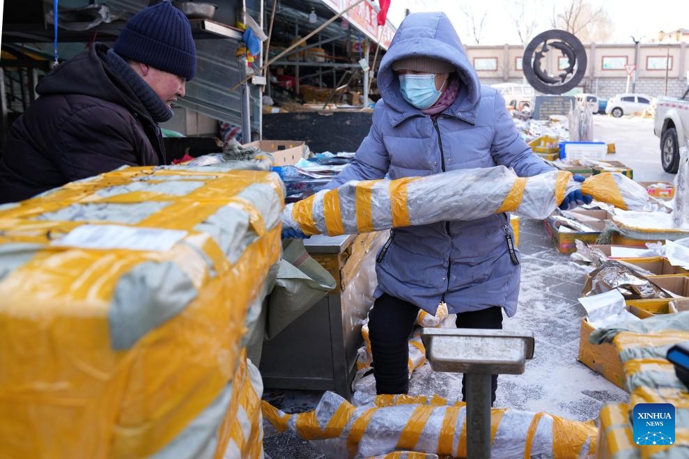 Vendors prepare frozen fish for shipping at Dongji fish market in Fuyuan, northeast China's Heilongjiang Province, Jan. 31, 2024. As the Spring Festival approaches, Dongji fish market in Fuyuan has entered its peak sales season. With a history of more than 100 years, the market is a major trading hub for freshwater fish products in China.(Photo: Xinhua)