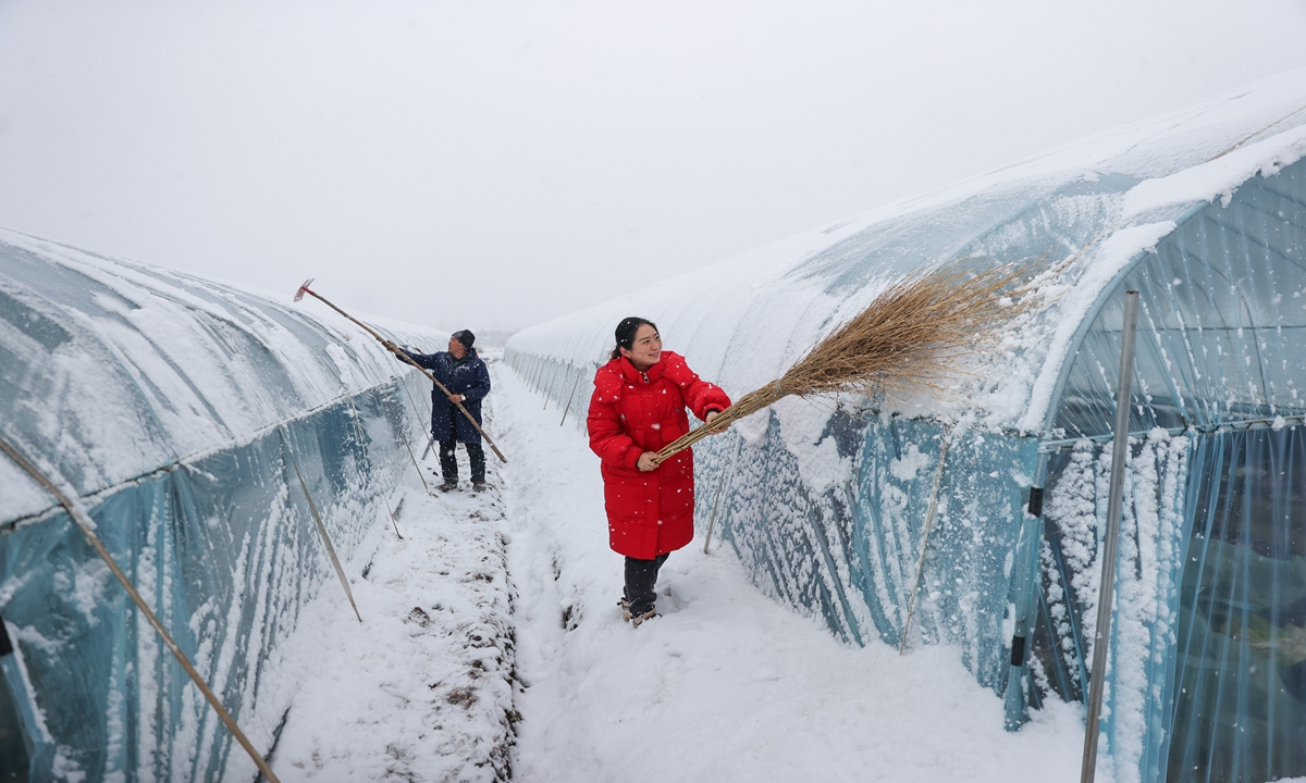 Farmers clear snow at a vegetable greenhouse in Lianyungang, East China's Jiangsu Province on February 4, 2024. To cope with snow, rain and freezing weather brought by a cold wave, local authorities have taken multiple measures to ensure vegetable production continues, such as adding covering. Photo: cnsphoto