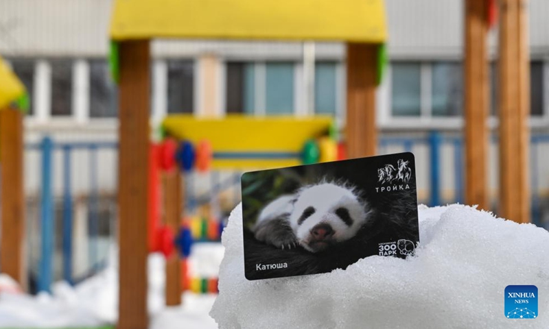 This photo taken on Feb. 3, 2024 shows a travel card themed on Russia's first giant panda cub in Moscow, Russia. Local transportation department recently launched a set of travel cards themed on Russia's first giant panda cub. The giant panda cub named Katyusha was born at Moscow Zoo in August 2023. (Xinhua/Cao Yang)