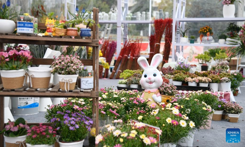 This photo taken on Feb. 5, 2024 shows a scene during a flower fair at a park in Chengdu, southwest China's Sichuan Province. Flower-themed fairs are being held in Chengdu to celebrate the upcoming Chinese New Year.(Photo: Xinhua)