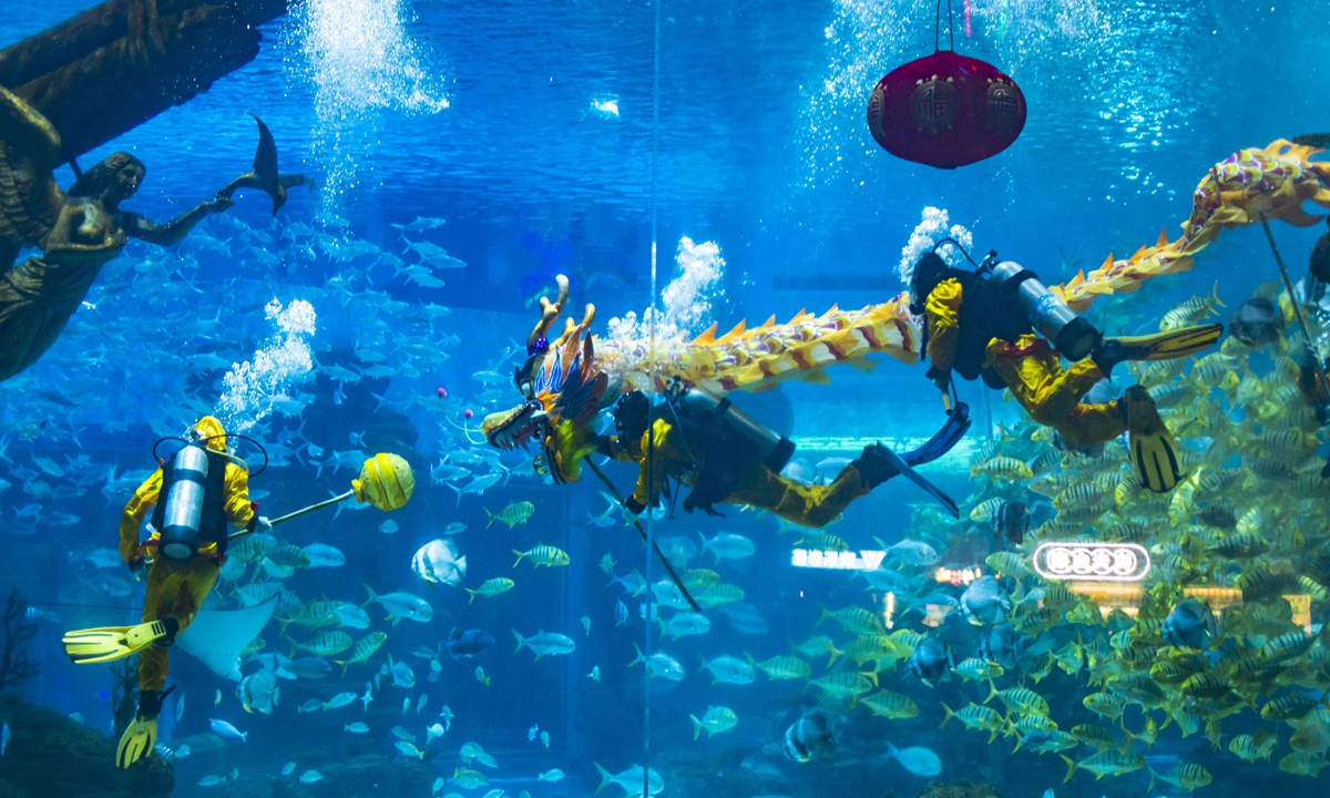 To welcome the Spring Festival, which falls on February 10, 2024, divers stage an underwater dragon dance at a sea world in the Shapingba district, Southwest China's Chongqing Municipality, on February 7, 2024. Photo: VCG