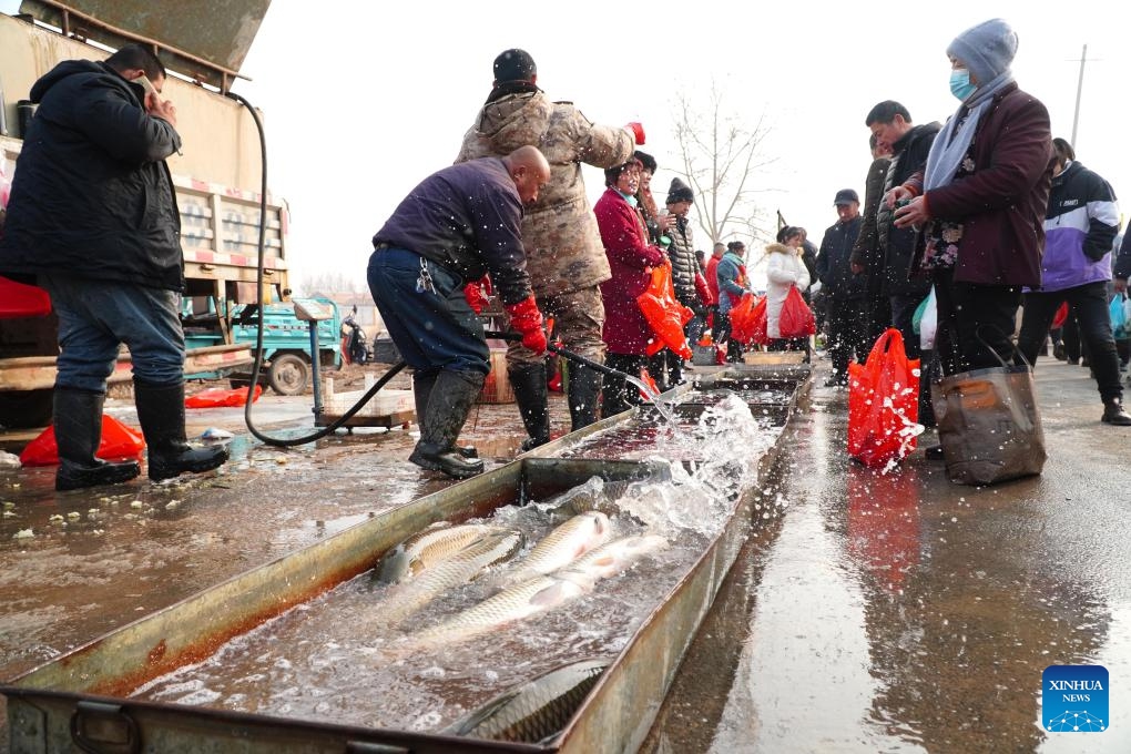 People shop for seafood at a local fair for the upcoming Chinese New Year in Linyi County, east China's Shandong Province, Feb. 6, 2024.(Photo: Xinhua)