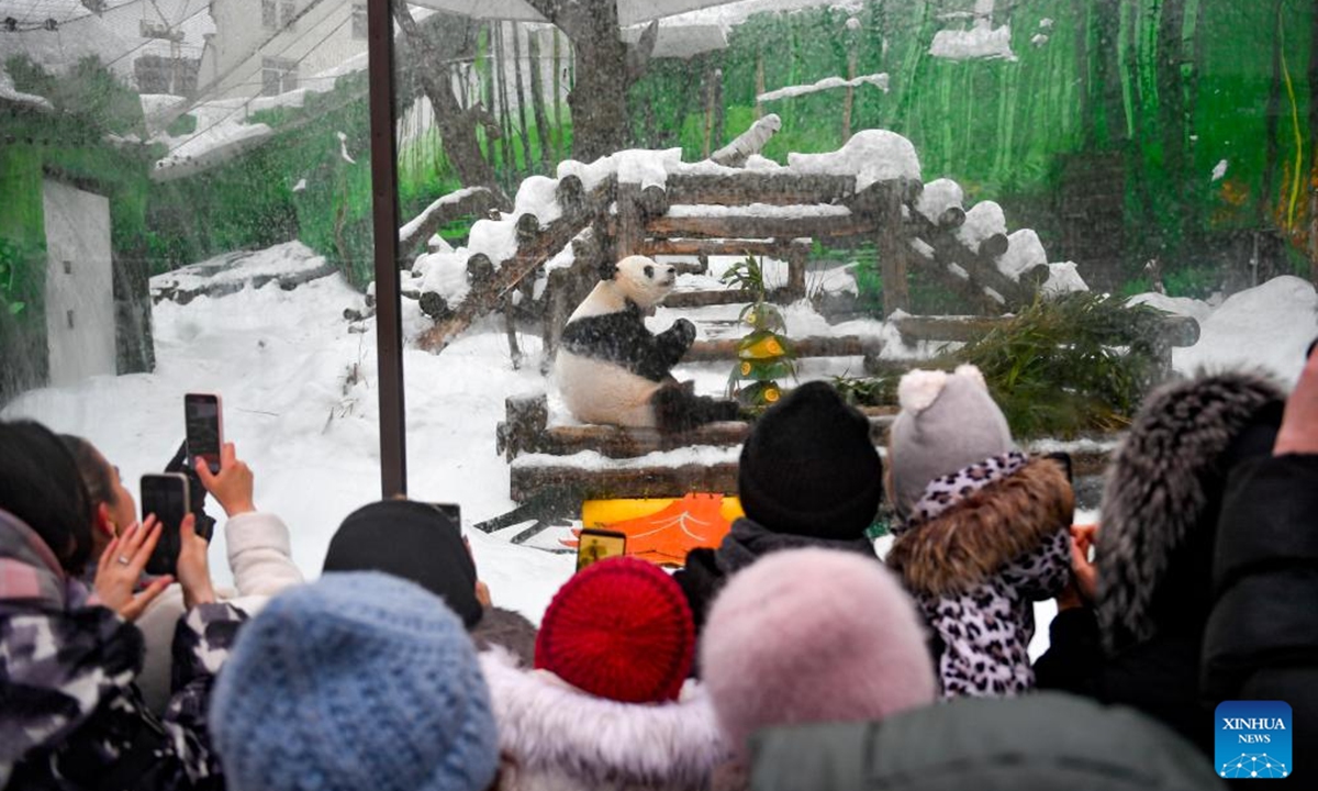 Visitors watch panda Ru Yi enjoying special treats at the Moscow Zoo in Moscow, Russia, Feb. 12, 2024. (Photo by Alexander Zemlianichenko Jr/Xinhua)


