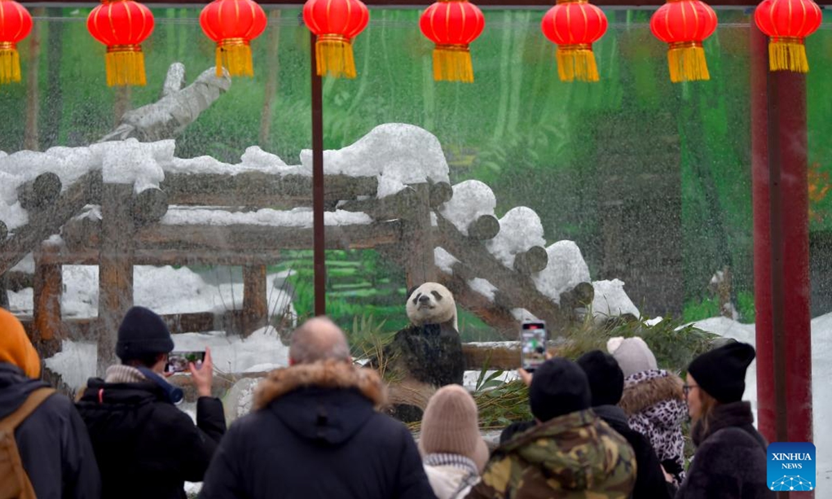 Visitors watch panda Ru Yi enjoying special treats at the Moscow Zoo in Moscow, Russia, Feb. 12, 2024. (Photo by Alexander Zemlianichenko Jr/Xinhua)


