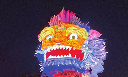 Dragon lanterns on display at the 30th Zigong lantern festival held in Zigong, Southwest China's Sichuan Province Photo: Lu Wenao/GT