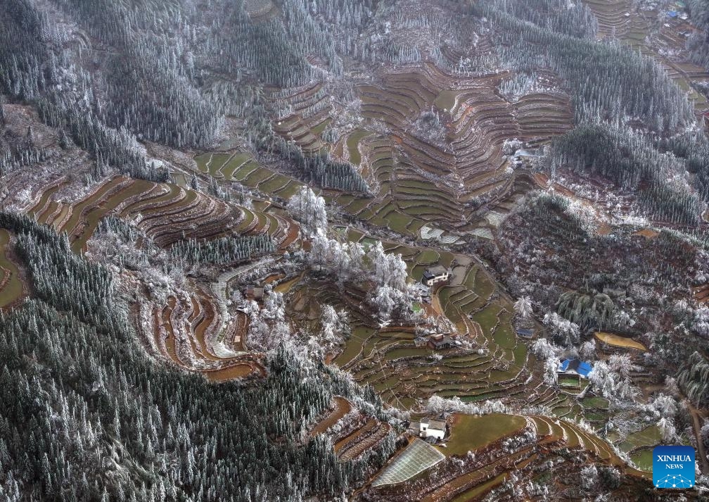 An aerial drone photo taken on Feb. 28, 2024 shows the snow scene in Dayuan Village of Quanzhou County, south China's Guangxi Zhuang Autonomous Region. Affected by a cold front, terraces in Dayuan Village were covered by ice and snow.(Photo: Xinhua)