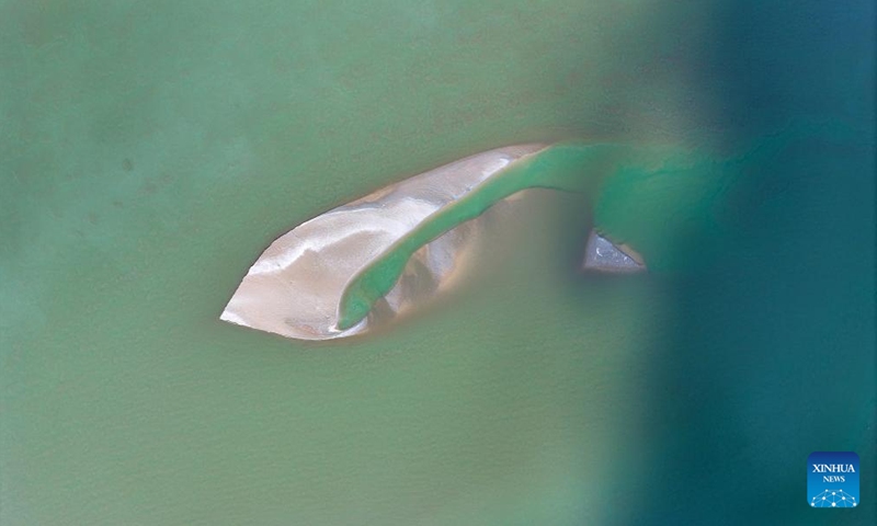 An aerial drone photo taken on March 1, 2024 shows the scenery at a section of the Yellow River in northwest China's Ningxia Hui Autonomous Region. With the temperature rising, the ice in Ningxia section of the Yellow River has been gradually melting. Flocks of migratory birds fly over the tidal-flat area and the turquoise water, adding a touch of vitality to the spring scenery. (Photo: Xinhua)