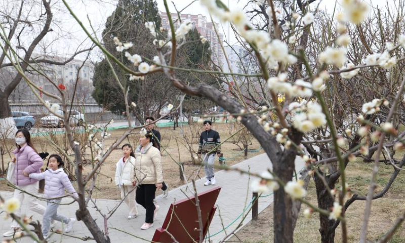 People visit the Ming City Wall Site Park in Beijing, capital of China, March 10, 2024. (Xinhua/Zhang Chenlin)