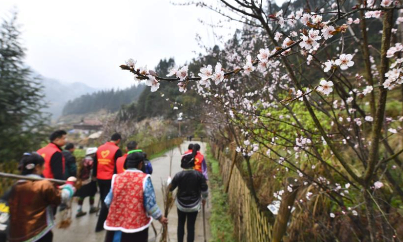 Villagers and volunteers are on the way to plant trees in Wuying Village on the border between south China's Guangxi Zhuang Autonomous Region and southwest China's Guizhou Province, March 9, 2024. Wuying Village is a Miao ethnic group hamlet that nestles snugly in the towering mountains stretching across the border between Guangxi and Guizhou.

Six years ago, with the support of local government and Lianjiang City in Guangdong Province, the village began to implementing a ten-year tree planting program to improve local ecological environment. Thousands of peach, plum, pear and other fruit trees have been planted. Now, as these trees start bearing fruit, the living environment of the village continues to improve, laying a goundwork for future eco-tourism development. (Xinhua/Huang Xiaobang)