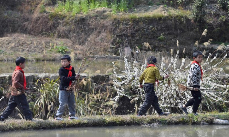 Children walk in the field with saplings in Wuying Village on the border between south China's Guangxi Zhuang Autonomous Region and southwest China's Guizhou Province, March 20, 2019. Wuying Village is a Miao ethnic group hamlet that nestles snugly in the towering mountains stretching across the border between Guangxi and Guizhou.

Six years ago, with the support of local government and Lianjiang City in Guangdong Province, the village began to implementing a ten-year tree planting program to improve local ecological environment. Thousands of peach, plum, pear and other fruit trees have been planted. Now, as these trees start bearing fruit, the living environment of the village continues to improve, laying a goundwork for future eco-tourism development. (Xinhua/Huang Xiaobang)