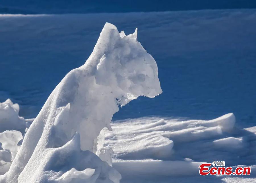 Multiple ice chunks scatter on the lake surface under the blue sky on Sayram Lake, the largest alpine lake in Bortala Mongolian Autonomous Prefecture, northwest China's Xinjiang Uyghur Autonomous Region.(Photo: China News Service)