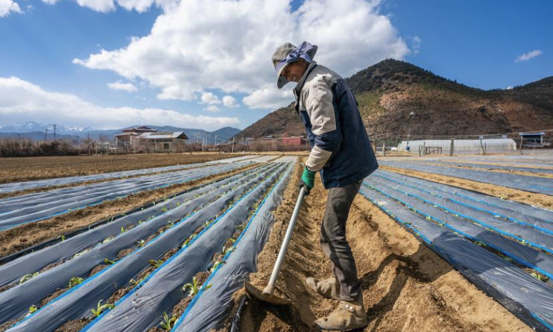 A villager works on a plateau farm in Jiantang Township in Shangri-la, the Deqen Tibetan Autonomous Prefecture, southwest China's Yunnan Province, March 9, 2024. (Xinhua/Hu Chao)