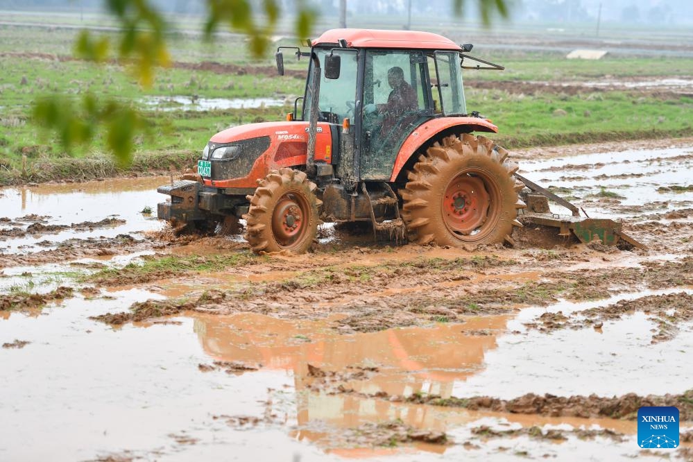 A farmer ploughs a field in Longfu Village in Liuyang, central China's Hunan Province, March 6, 2024. Farmers in many regions of China are busy in the fields with spring ploughing, sowing and other agricultural activities.(Photo: Xinhua)