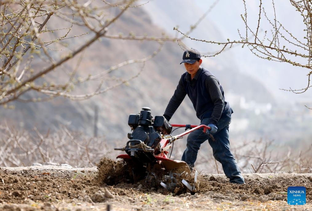 A farmer ploughs a field in Maba Village, Wudu District, Longnan, northwest China's Gansu Province, March 5, 2024. Farmers in many regions of China are busy in the fields with spring ploughing, sowing and other agricultural activities.(Photo: Xinhua)