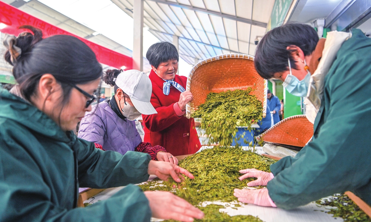 Farmers sort roasted spring tea leaves in Hangzhou city, East China's Zhejiang Province on March 11, 2024. Picking season has begun ahead of the annual Qingming Festival which falls on April 4 this year. The green tea produced in Hangzhou is often called Longjing Tea, literally meaning Dragon Well Tea, renowned for its high quality. Photo: VCG