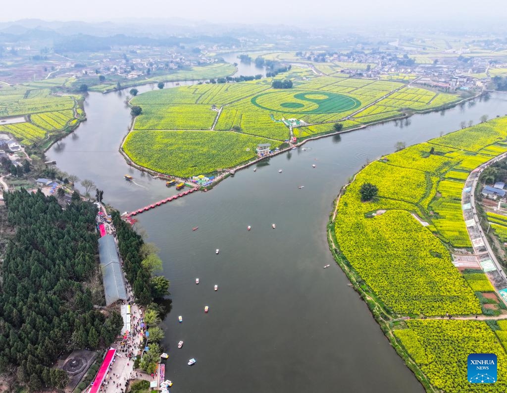 An aerial drone photo taken on March 9, 2024 shows a view of oilseed rape fields at Chongkan scenic spot in Tongnan District, southwest China's Chongqing Municipality. Tongnan District boasts a long history of oil-bearing corp planting, and was recognized as a nationally leading seed provider for oilseed rape planting in 2022.(Photo: Xinhua)