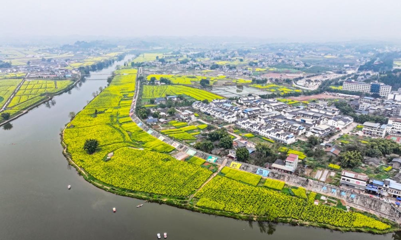 An aerial drone photo taken on March 9, 2024 shows tourists taking boats to enjoy the view of rapeseed flowers at Chongkan scenic spot in Tongnan District, southwest China's Chongqing Municipality. Tongnan District boasts a long history of oil-bearing corp planting, and was recognized as a nationally leading seed provider for oilseed rape planting in 2022.(Photo: Xinhua)