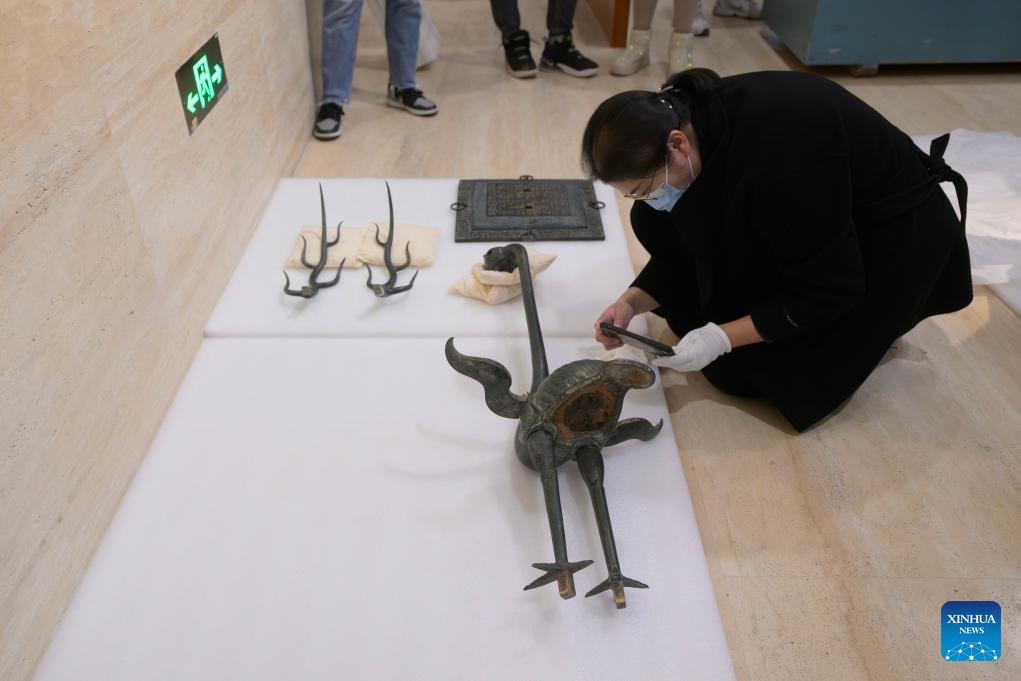 A staff member checks a bronze artifact at Hubei Provincial Museum in Wuhan, central China's Hubei Province, March 4, 2024. An exhibition titled Phoenix Kingdoms: The Last Splendor of China's Bronze Age will be held from April to July at the Asian Art Museum in San Francisco.The exhibition will feature over 260 artifacts from five Chinese museums, showcasing the art of the ancient Chu and Zeng states.(Photo: Xinhua)