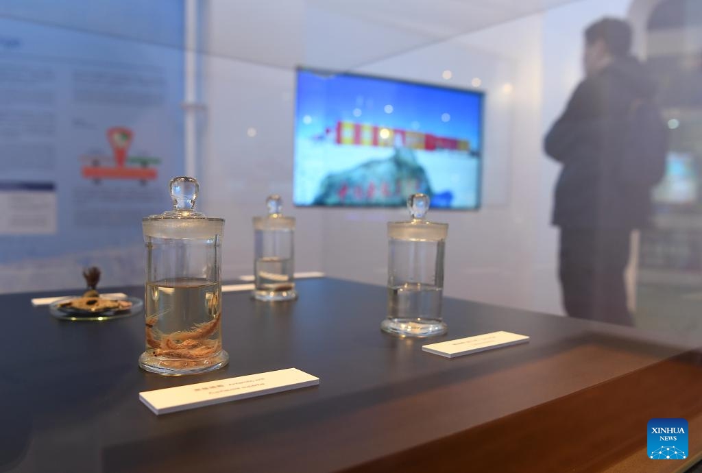 Polar biological specimens are displayed at the Polar Research and Climate Change exhibition at Hong Kong Science Museum in Hong Kong, south China, March 19, 2024. Available to the public from March 18 till June 26, the exhibition will expose audiences to the scientific expeditions and research accomplishments of China's polar icebreaker Xuelong 2.(Photo: Xinhua)