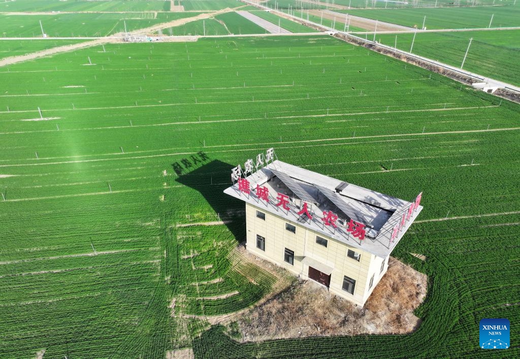 An aerial drone photo taken on March 19, 2024 shows the smart farm at Shuanglou Village, Bozhou City of east China's Anhui Province. By introducing IT technologies like Internet of Things, Big Data and Artificial Intelligence, Jiao Rui, a young farmer born in the 1990s, has set up a smart decision making system on his farm which greatly improved the production efficiency.(Photo: Xinhua)