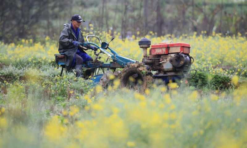 A farmer drives a tractor to plough the field in Sanmu Village, Liuzhou City of south China's Guangxi Zhuang Autonomous Region, March 18, 2024. (Photo by Tan Kaixing/Xinhua)