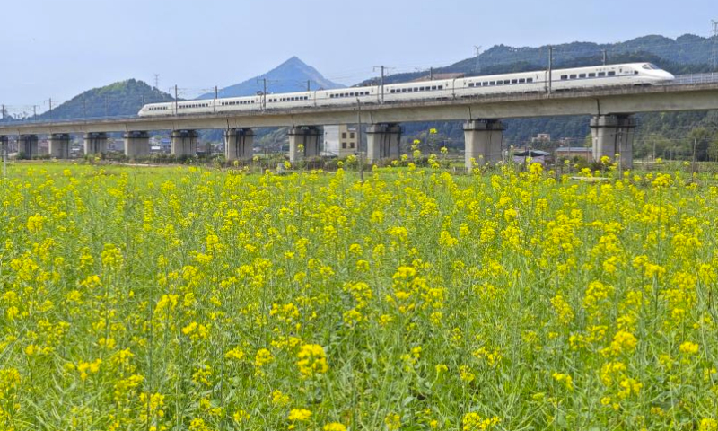 This photo taken on March 29, 2024 shows a bullet train running on a section of the Guizhou-Guangzhou high-speed railway in Zhongshan County, south China's Guangxi Zhuang Autonomous Region. (Photo by Liao Zuping/Xinhua)