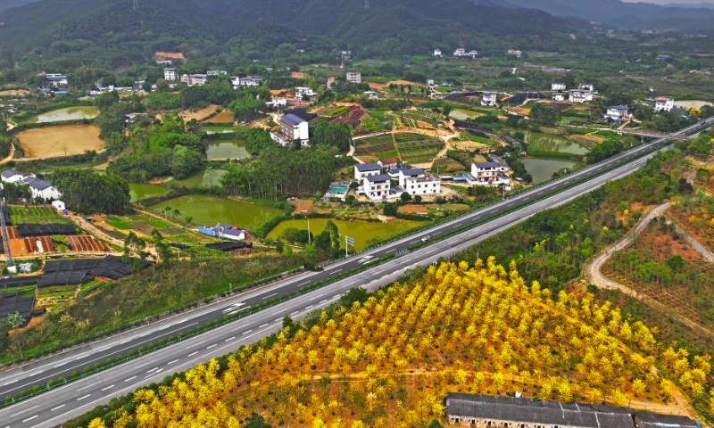 An aerial drone photo taken on March 23, 2024 shows a view of Santang Town, Xingning District of Nanning City, south China's Guangxi Zhuang Autonomous Region. (Xinhua/Zhou Hua)