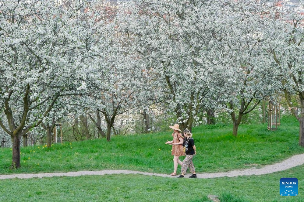 People take a walk on the Petrin hill in Prague, the Czech Republic, April 7, 2024.(Photo: Xinhua)