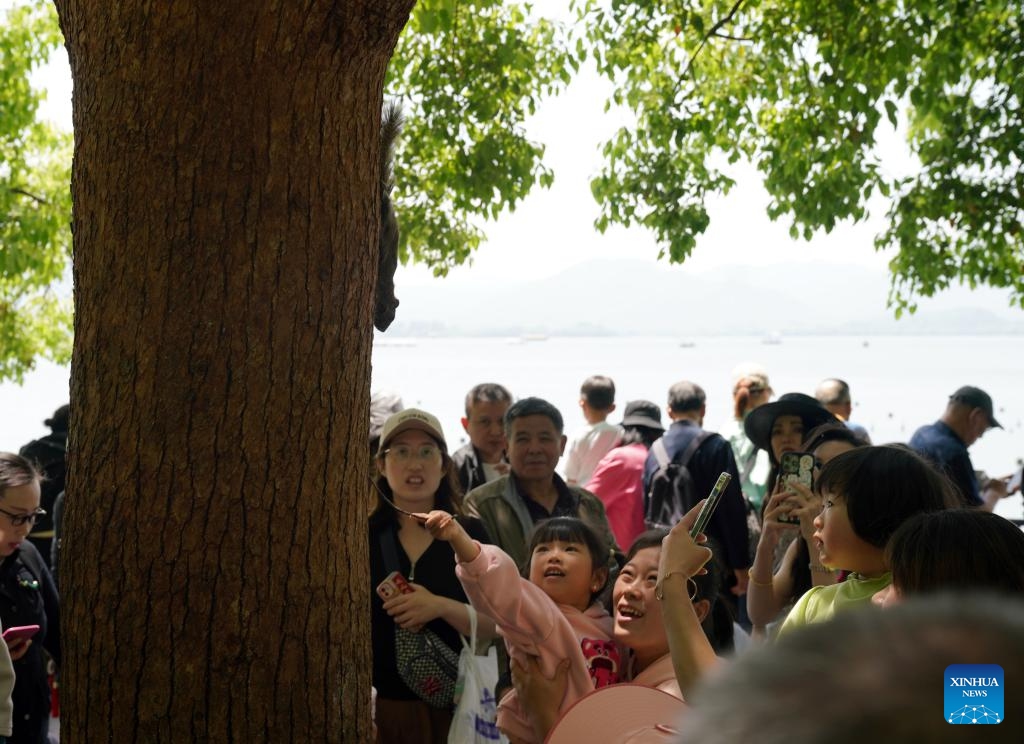 Tourists look at a squirrel by the West Lake in Hangzhou, east China's Zhejiang Province, April 18, 2024.(Photo: Xinhua)