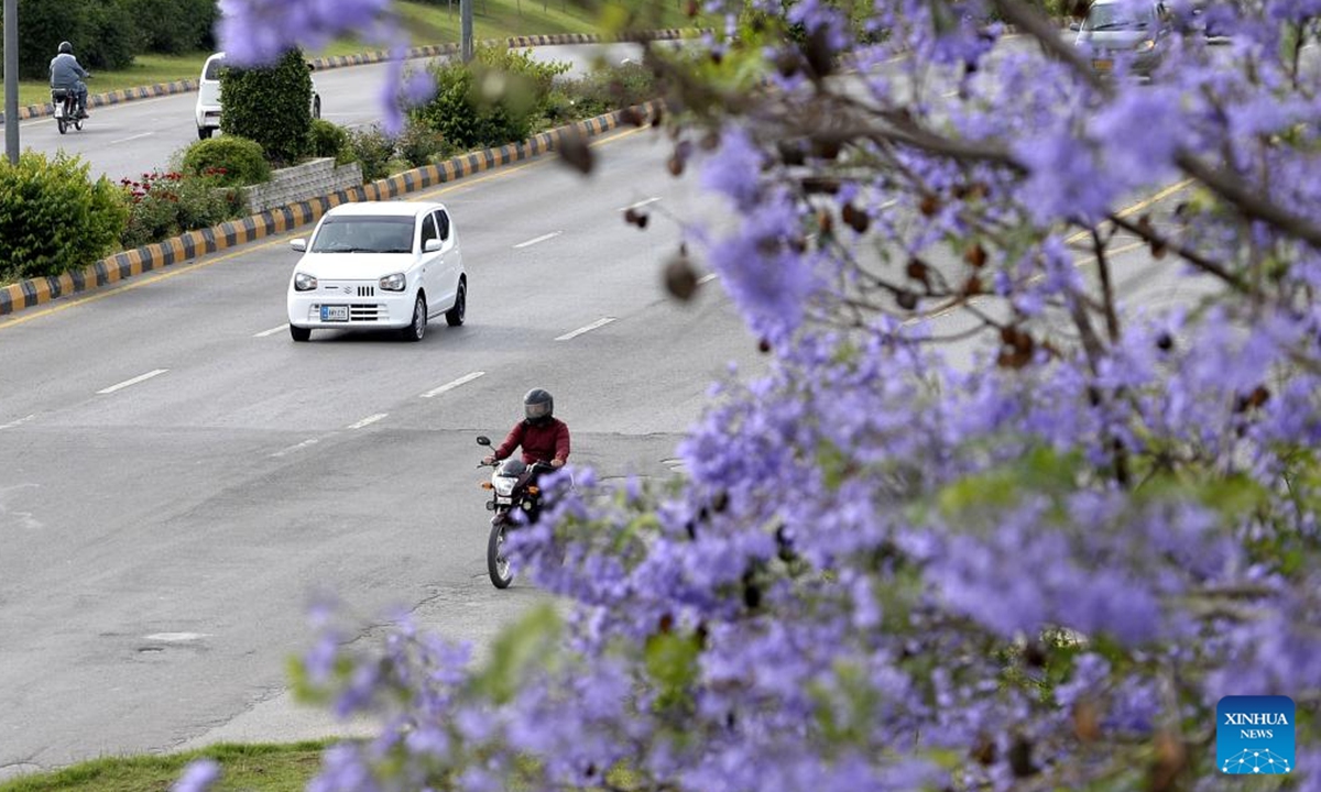 People enjoy leisure time under blooming jacaranda trees in Islamabad, Pakistan on May 2, 2024. (Xinhua/Ahmad Kamal)



