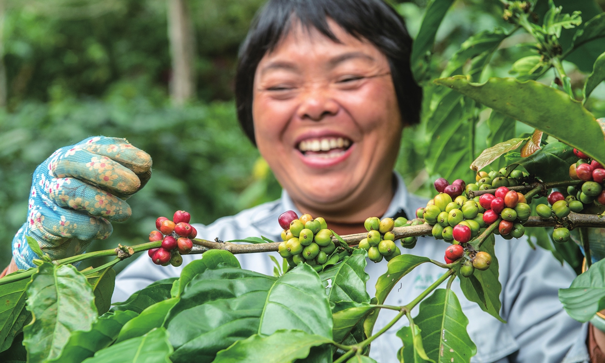 A worker picks coffee beans in Wanning, Hainan Province.