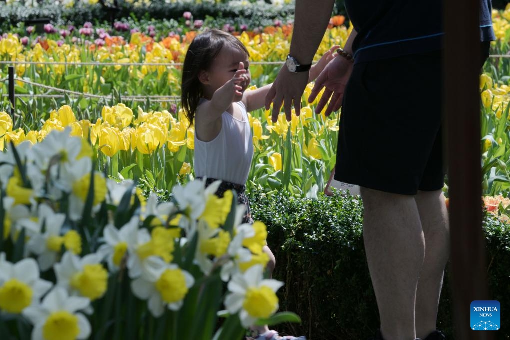 Tourists visit the floral exhibition Tulipmania at Singapore's Gardens by the Bay on May 14, 2024.(Photo: Xinhua)