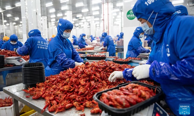 Staff members work at a crayfish workshop of a food company in Nanxian County in Yiyang, central China's Hunan Province, May 19, 2024. Nanxian County has been promoting the development of crayfish industry in recent years, with an output value hitting 16 billion yuan (about $2.215 billion). Photo: Xinhua