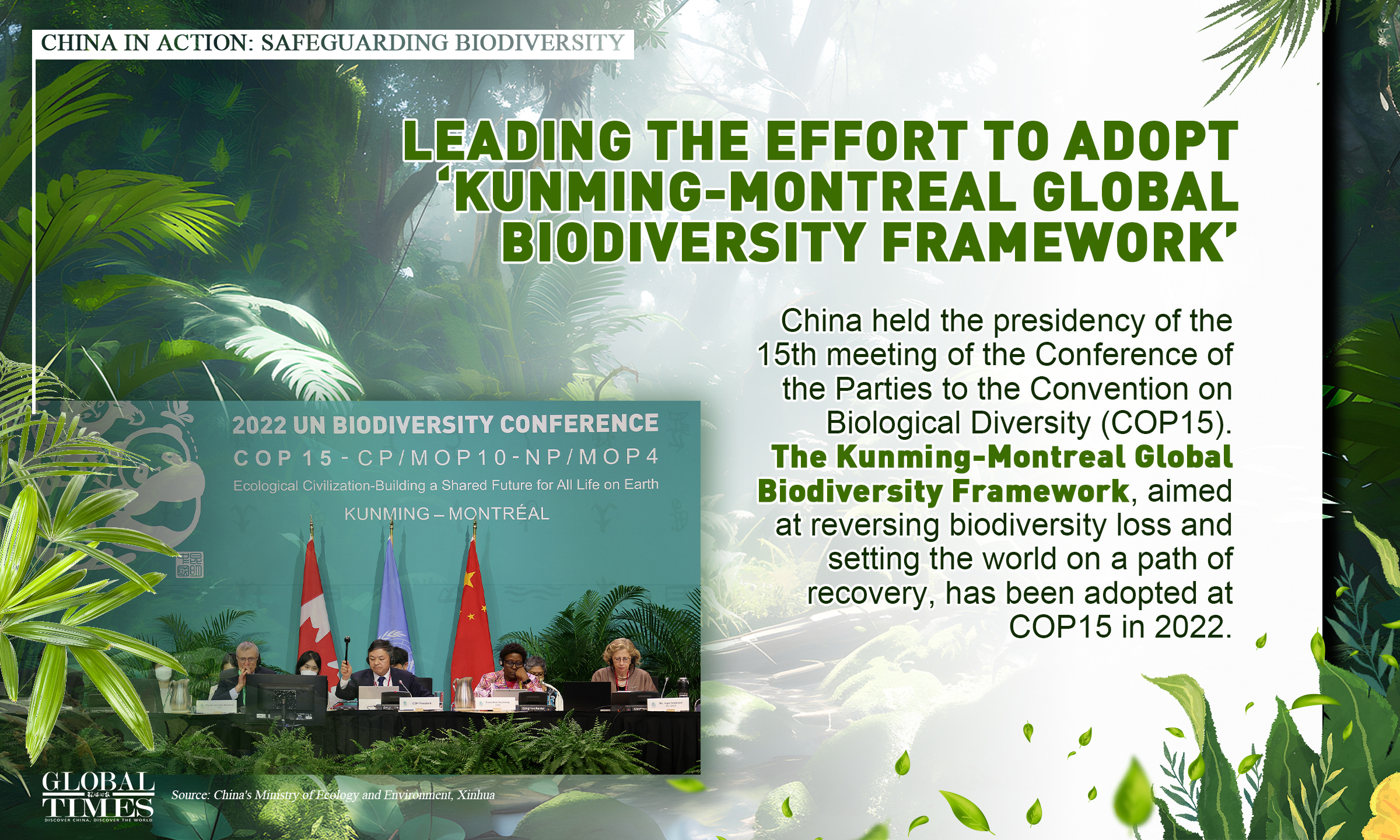 China in action: safeguarding biodiversity. Graphic: GT