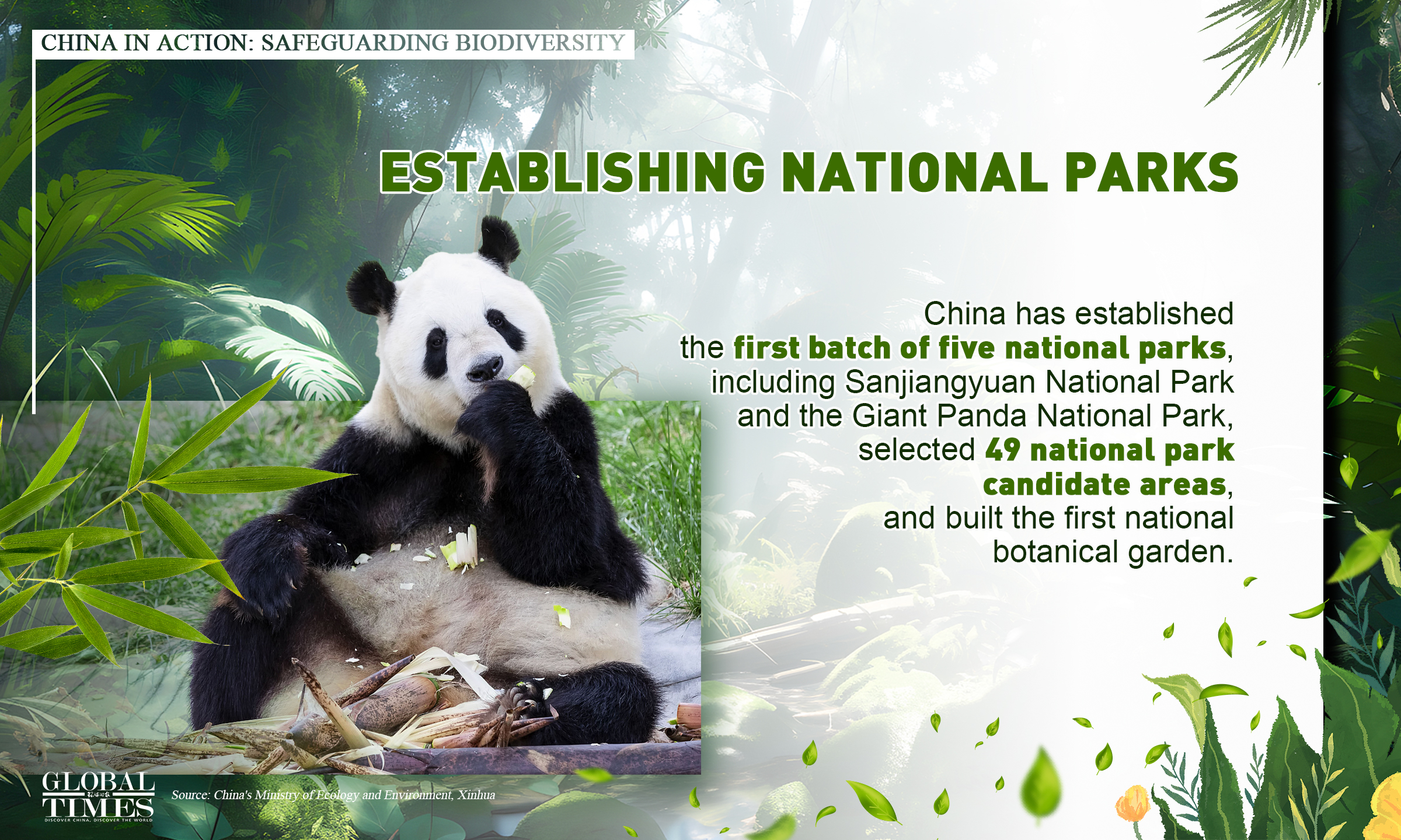 China in action: safeguarding biodiversity. Graphic: GT