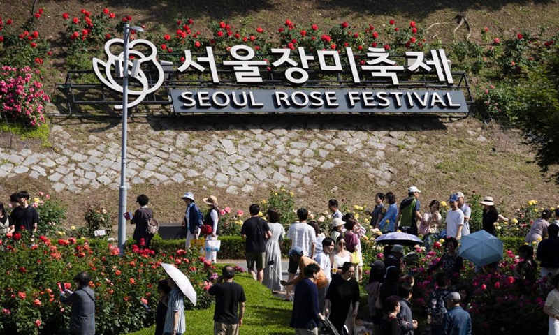 People enjoy flowers at the Seoul Rose Festival in Seoul, South Korea, May 19, 2024. The festival is running from May 18 to 25. Photo: Xinhua