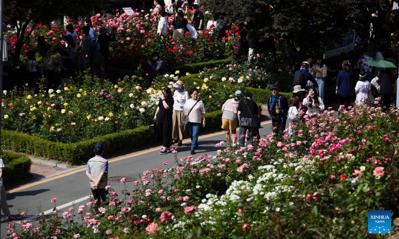 People enjoy flowers at the Seoul Rose Festival in Seoul, South Korea, May 19, 2024. The festival is running from May 18 to 25. Photo: Xinhua