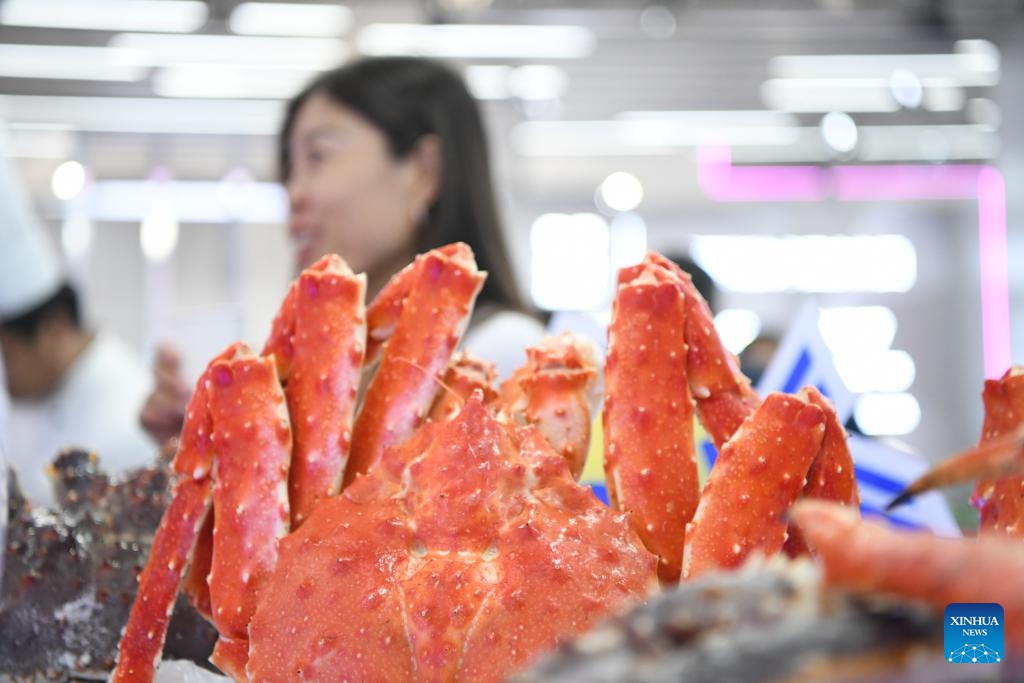 This photo shows a king crab during the eighth China-Russia Expo in Harbin, northeast China's Heilongjiang Province, May 20, 2024. Over 5,000 overseas buyers registered at the expo and representatives from 44 countries and regions participated in the expo. The exhibition area spans 388,000 square meters, showcasing more than 5,000 products in over 20 major categories from 10 sectors.(Photo: Xinhua)